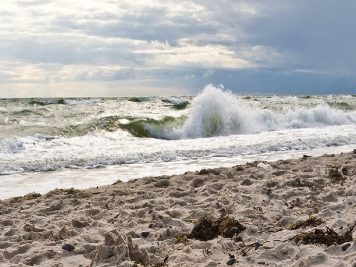 Tu Hus In Linde Eck Villa Zingst Exterior foto